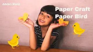 Paper Craft/ Chick/ Paper Bird