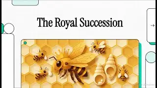 What's inside the Honey Bee hive?