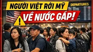 LÀN SÓNG NGƯỜI VIỆT RỜI MỸ, CANADA, ĐỨC Ồ ẠT QUAY VỀ VIỆT NAM