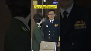 Chinese defense minister meets with Singaporean counterpart