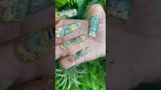 Where&rsquo;s my money #naildesign #nailstutorial #nailtutorialclips