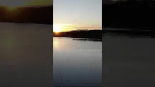 Peaceful Sunrise Over Serene Lake and Birds Praying and Piano #birdsounds  #nature #jungle #relax