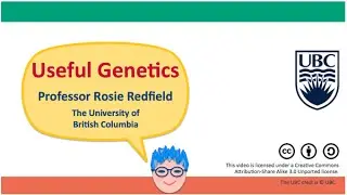 2A - Errors in DNA replication, part 2