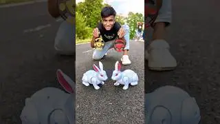 My 2 Remote Control Rabbit Unboxing 🔥