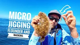 ultralight fishing, flounder and mackerel EASY on micro jigs Adelaide slow jigging micro jigging