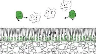 What is Envirofill&reg;? | What is Turf Infill? | Motz