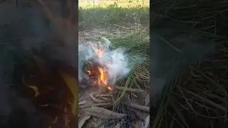 Smart in cooking duck eggs#food #survivalskills #eating #fruit #experiment
