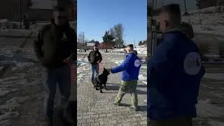 Spokojny spacer. (czytaj opis)