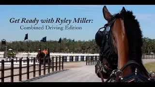 Ryley Miller - Get Ready with Me: Combined Driving Edition at TerraNova Equestrian Center