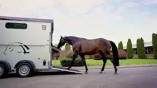 Cheval Libert&eacute; - the most trusted equestrian brand in UK and Ireland
