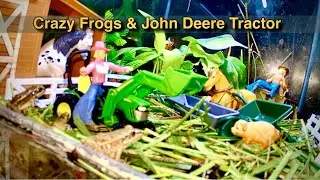 Tiny Frogs Hopping Around John Deere Tractor 