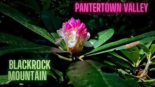 Panthertown Valley, North Carolina - Blackrock Mountain (2020)