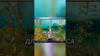 You can play wherever you want! #subnautica #android #ios #gaming