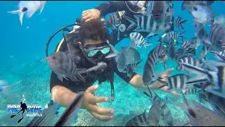 First Dive With Pro Dive Mauritius