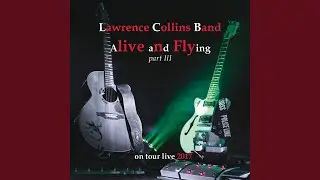 Martini Nights (Live)