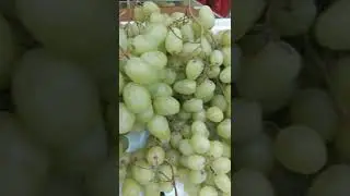Seedless and sweet Grapes ASMR #interesting #trending #asmr #satisfying #sounds