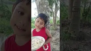 Palm shell #shortvideo