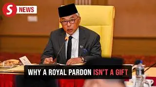 Royal pardon not political gift, says Pahang Sultan