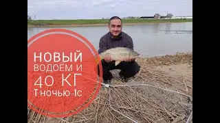 Карповая рыбалка Надеждовка Херсонская обл 40кг 24.04.2021