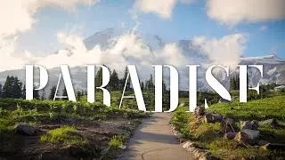 Hiking Paradise at Mt Rainier National Park