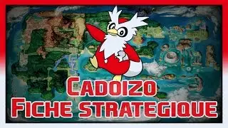 SAVOIR JOUER CADOIZO - FICHE STRATEGIQUE