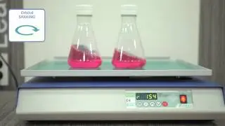 Bio technology, Life Science, Lab equipment, CO2 incubator By n-biotek, 엔바이오텍
