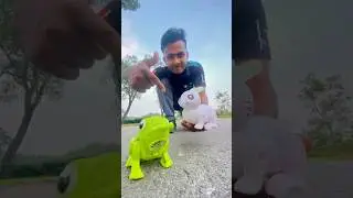 RC Frogs and Rabbit 🐰 Unboxing 😍