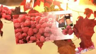 Raspberry Ketone Fresh Reviews