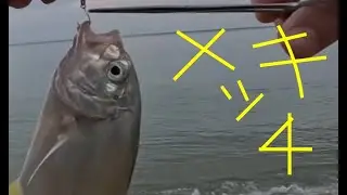 メッキ4匹　沖縄釣り　２日分
