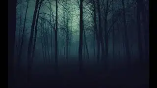 Kerala horror story in wayanad
