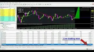 Trading system from just $50 USD to $492,000 /Power compound interest