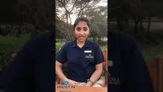 Student Testimonials on Westin Hotel Management College