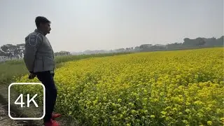 Cinematic Bangladesh Village Nature | Mustard Fields & Slow Village Life Walk 4K