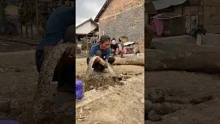 GEMPAR‼️ Cemong Kaget Ada Ular Sanca 5 Meter di Dalam Pipa!! #shortsfeed #shortvideo #shorts #snake