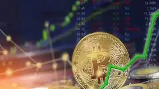 Crypto Coin Ranking Premium Membership