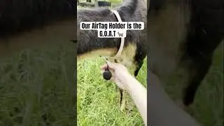 Our AirTag Holder is the G.O.A.T. How do you use your AirTag? #ytshorts #rokform #shortvideo #goat
