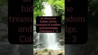 Christ Jesus Gives You Wisdom From Above #shorts #jesuschrist