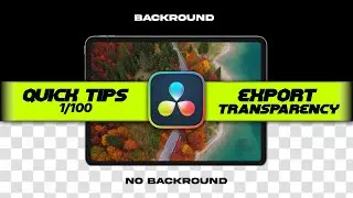 Davinci Resolve - Export Transparency (1/100)