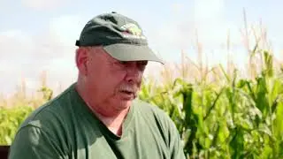 Managing Fertility with Cover Crops in Rotation