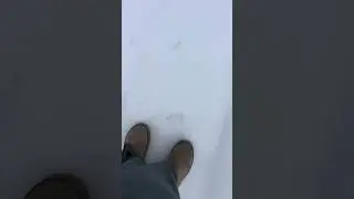 2026 ice storm in North Carolina 