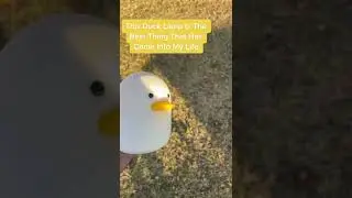 Duck Lamp Shop Now!