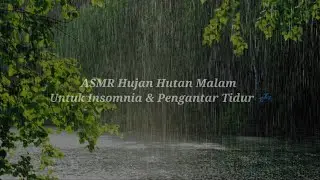 ASMR Hujan Hutan Malam 🌧 Tidur Nyenyak Atasi Insomnia & susah tidur #13 