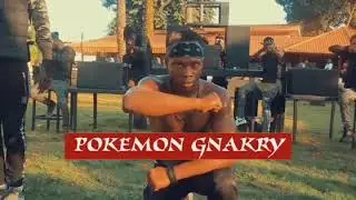 Michel Kamano Pok&eacute;mon gnakry