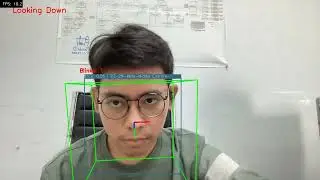Face Technologies - Fatigue Detection, Eye-blink Detection, and Head-pose Estimation