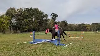 Bridleless jumping: nailed it