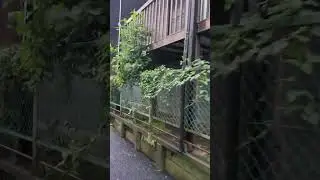 杉並住宅倒壊前（杉並区魔境）