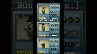 Bossa cats :) #meowsynth #shorts #cat