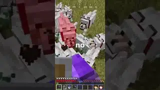 Getting REVENGE On TOXIC Dog Army Eliminator!
