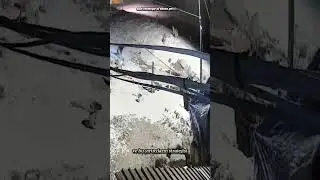 3 KANGAL VS 5 WOLF