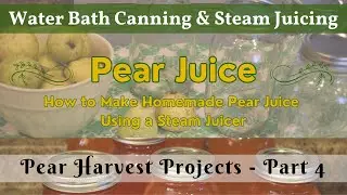Homemade Pear Juice | Pear Harvest Projects - Part 4 | How to Use a Steam Juicer to Make Pear Juice!